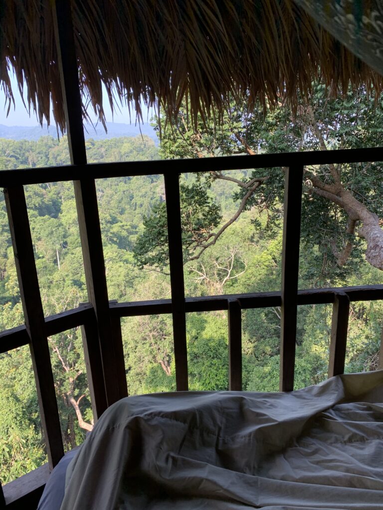 gibbon experience tree house gibbon experience tree house