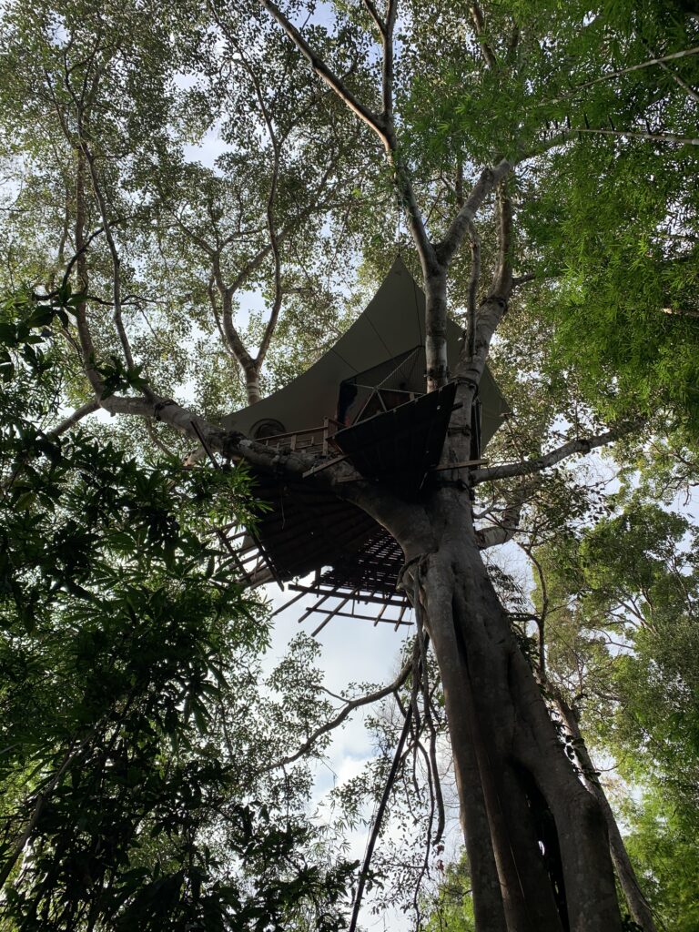 small tree house gibbon experience laos