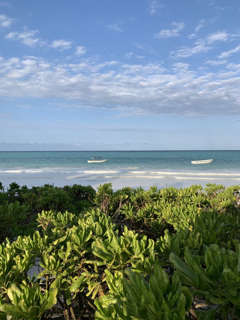zanzibar beach