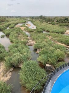 shalati train hotel in kruger national park pool view of sabie river