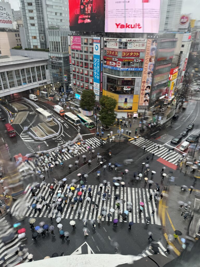 shibuya crossing in the rain shibuya crossing in the rain